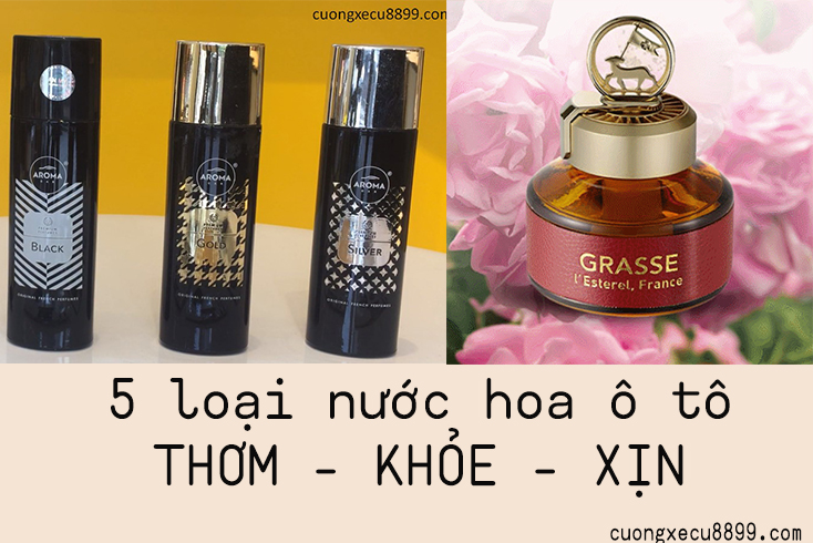 Top 5 nước hoa khử mùi ô tô loại tốt nhất 4 nước hoa khử mùi ô tô loại tốt nhất